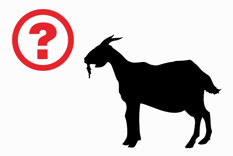 Alerte Découverte Chèvre Mâle Monistrol-d'Allier France